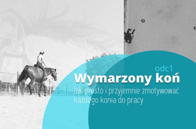 Jak prosto i przyjemnie zmotywować każdego konia do pracy. 