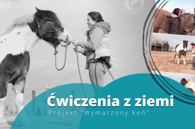 Ćwiczenia z ziemi. Zestaw 23 elementów które powinieneś umieć zrobić ze swoim koniem. +BONUS
