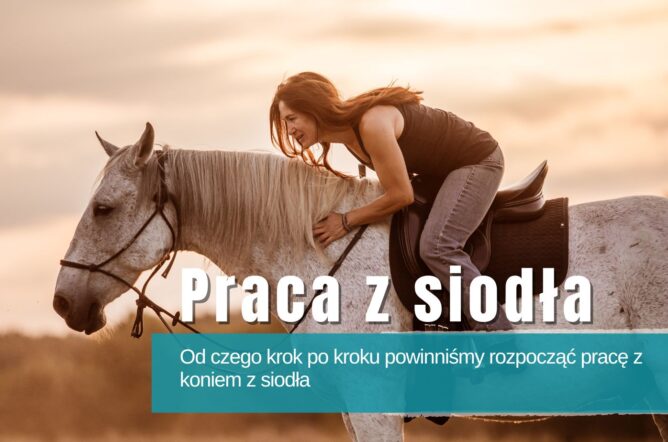 Ćwiczenia z siodła. Od czego krok po kroku powinniśmy rozpocząć pracę z koniem z siodła