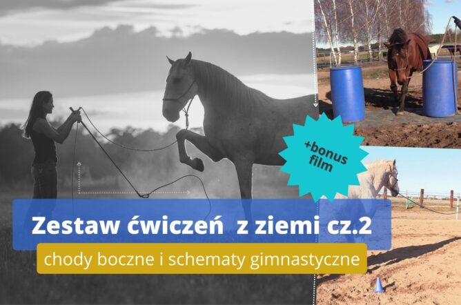 Zaawansowane ćwiczenia z ziemi cz.2. Chody boczne i schematy gimnastyczne
