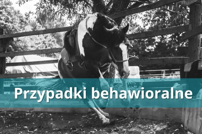 Przypadki behawioralne